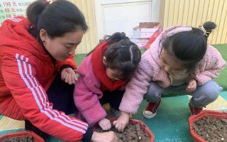 《一个好朋友的陪伴》(从邂逅到成长,她一直在我身边) 《一个好朋友的陪伴》(从邂逅到成长,她一直在我身边)
