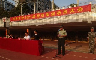 一个年轻人的奋斗史（一个年轻人的奋斗史）
