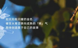 我的青春不散场