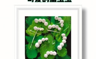 蚕宝宝的成长之路（可爱的小生命，谁来守护）