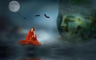懂得珍惜，人生更美好（从一只小鸟的故事，看待珍惜的重要性）