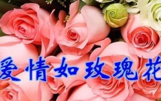 真心相待（友谊是无价之宝）