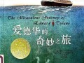 童年的奇妙发现