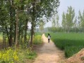迷失的自我（一个小女孩的童年烦恼）
