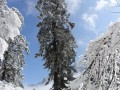 冰雪世界的神奇之旅（一个不一样的冬季旅行）