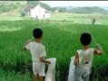 童年有趣的傻事——学校里的“捉迷藏”游戏（一个让我回忆无穷的童年游戏）