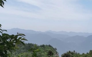 坚守信念，梦想成真（一个寻梦者的奋斗之路）