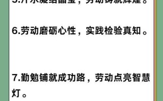 汗水与成功（一个小学生如何用汗水成为班里的佼佼者）