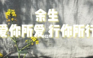 以这也是一种爱（陪伴与理解）