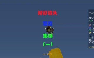 我的摄影挑战(精彩的镜头给我带来的成功) 我的摄影挑战(精彩的镜头给我带来的成功)