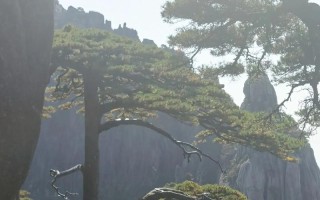 美好的早晨-迎接新的开始