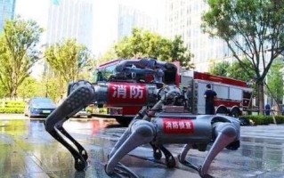 小林的消防英雄之旅（她在火海中寻找生命的希望）