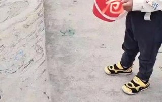 痛苦的磨砺（从苦难中崛起）