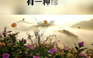 无私之爱（一位老人的故事）