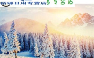 冬日里的雪（梦境与现实）