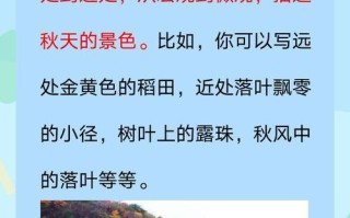 山间小径（赏秋之旅）