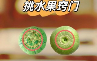 解决难题的神奇钥匙（如何用小窍门轻松解决生活和工作中的难题）