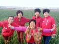 春天的欢声笑语——一个小镇的传统庆典