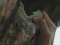毅力之光：一个不屈的战士