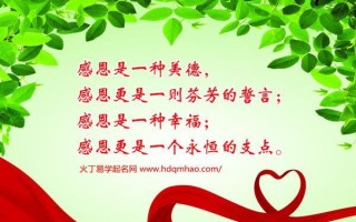 感恩知道回报（小狗的故事）