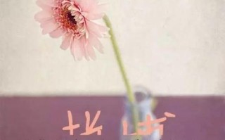 成长需要坚强（一个少年的故事）