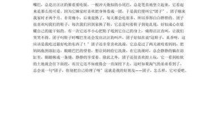 小狗的冒险之旅（一只勇敢小狗的生命历程）