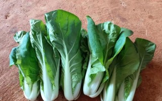 培育好种子（以毅力和耐心迎接未来）