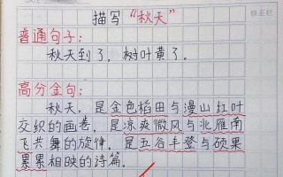 坎越过，天高任鸟飞（一个普通人的奋斗史）