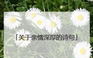 一段深厚的亲情（母爱永存）