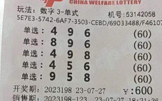 寻找星辰之光（少年追逐梦想的故事）