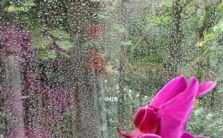 在这个家里，生活充满了活力和希望（在这个家里，生活充满了活力和希望）