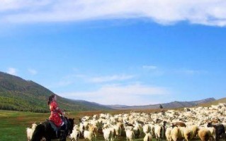 《心灵淳朴的奇幻之旅》（一个人的梦想，一个心灵旅程，一段难忘的回忆）