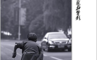母亲的背影（无私、坚强、宽容）