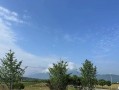 风雨中的彩虹（少年的成长历程）