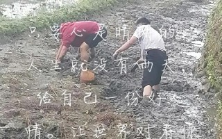 小姑娘的坚定梦想（小姑娘的坚定梦想）