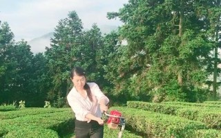 请微笑一直向前（相信自己，勇敢前行）