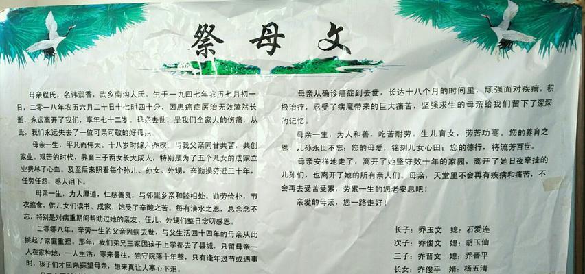 母亲的爱（母亲，让我感受到爱的力量）-第2张图片-学作网