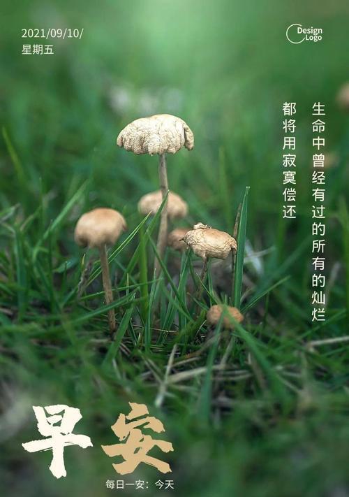 小事启示大道理-第2张图片-学作网