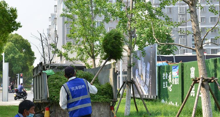 城市美容师的故事（发掘城市之美，让城市更加美丽）-第1张图片-学作网