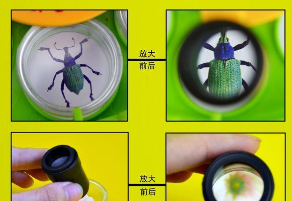 一只热爱探险的小孩子（一只热爱探险的小孩子）-第3张图片-学作网