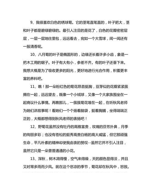 菊花的岁月（盛放与凋零）-第3张图片-学作网