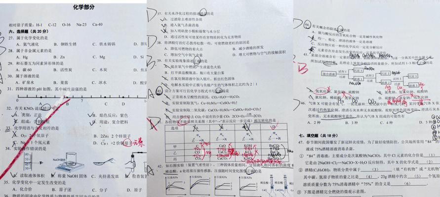 希望的种子（以希望，就这样生长）-第2张图片-学作网