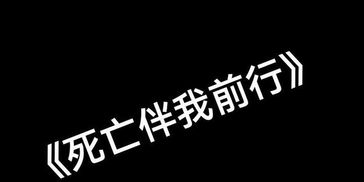 伴我前行（信任的陪伴者）-第1张图片-学作网