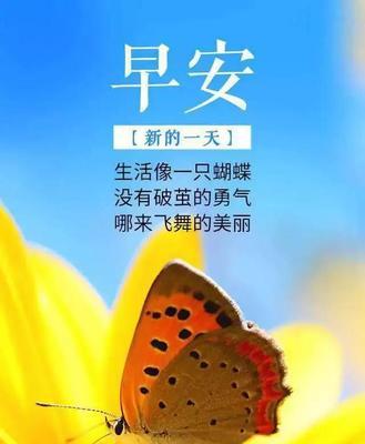 LearntoBeStronginEverythingYouDo（AStoryofPerseveranceandResilience）-第3张图片-学作网