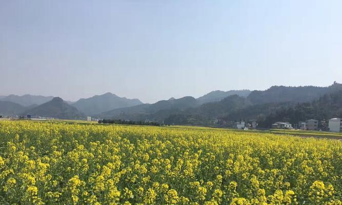 风雨中的生命奇迹（在万物充满生机的世界中，有什么可怕的？）-第2张图片-学作网