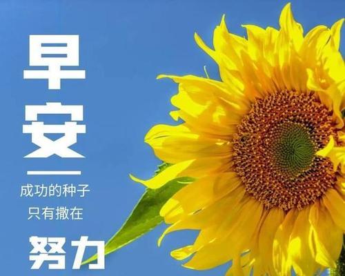 信心和希望（一个小男孩的故事）-第2张图片-学作网