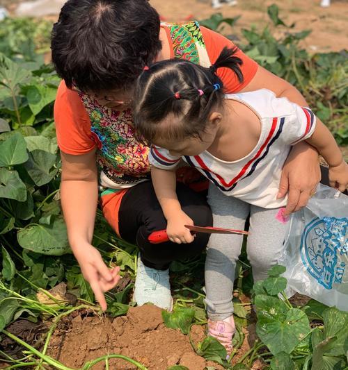 只要坚持，就一定能收获快乐（从奋斗中汲取幸福的力量）-第1张图片-学作网