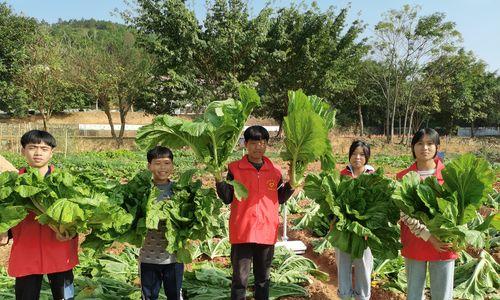 只要坚持，就一定能收获快乐（从奋斗中汲取幸福的力量）-第2张图片-学作网