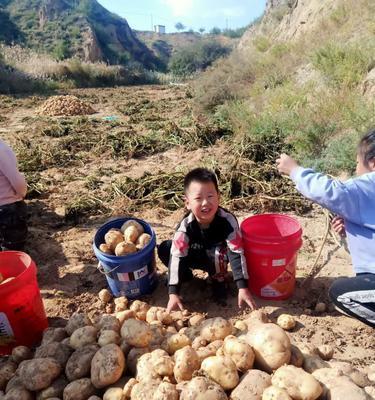 只要坚持，就一定能收获快乐（从奋斗中汲取幸福的力量）-第3张图片-学作网