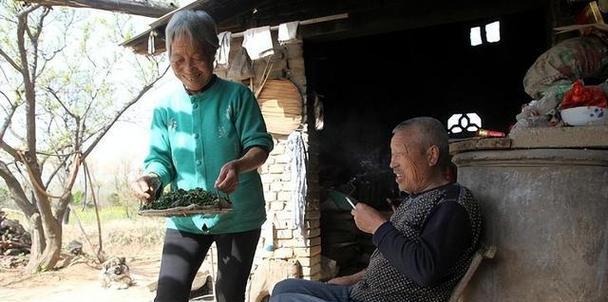 和奶奶相处的日子（纪念一段不朽的时光）-第3张图片-学作网